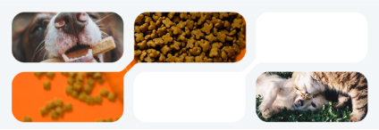 National Pet-Care Leader